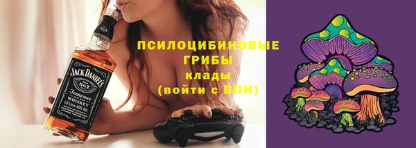 ПСИЛОЦИБИНОВЫЕ ГРИБЫ Армянск