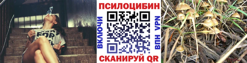 Псилоцибиновые грибы MAGIC MUSHROOMS Злынка